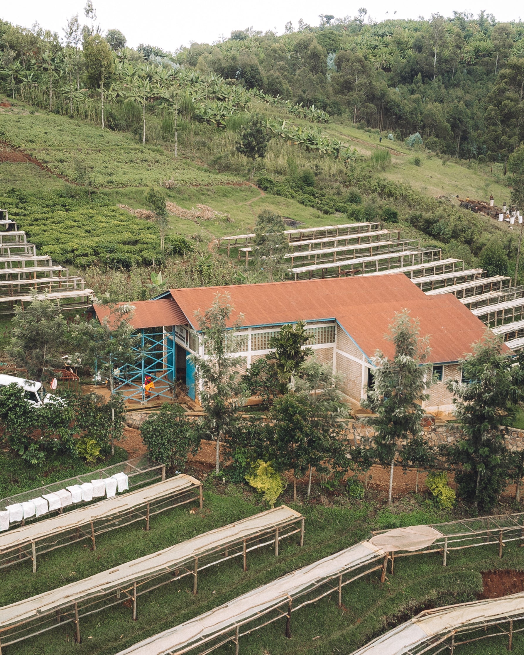 Bukeye Hills
