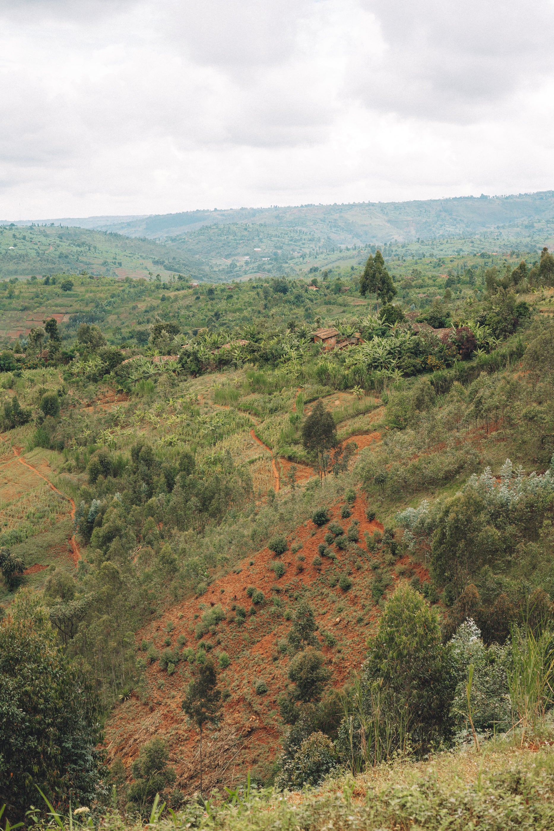 Bukeye Hills