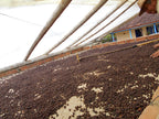Finca Patio Bonito