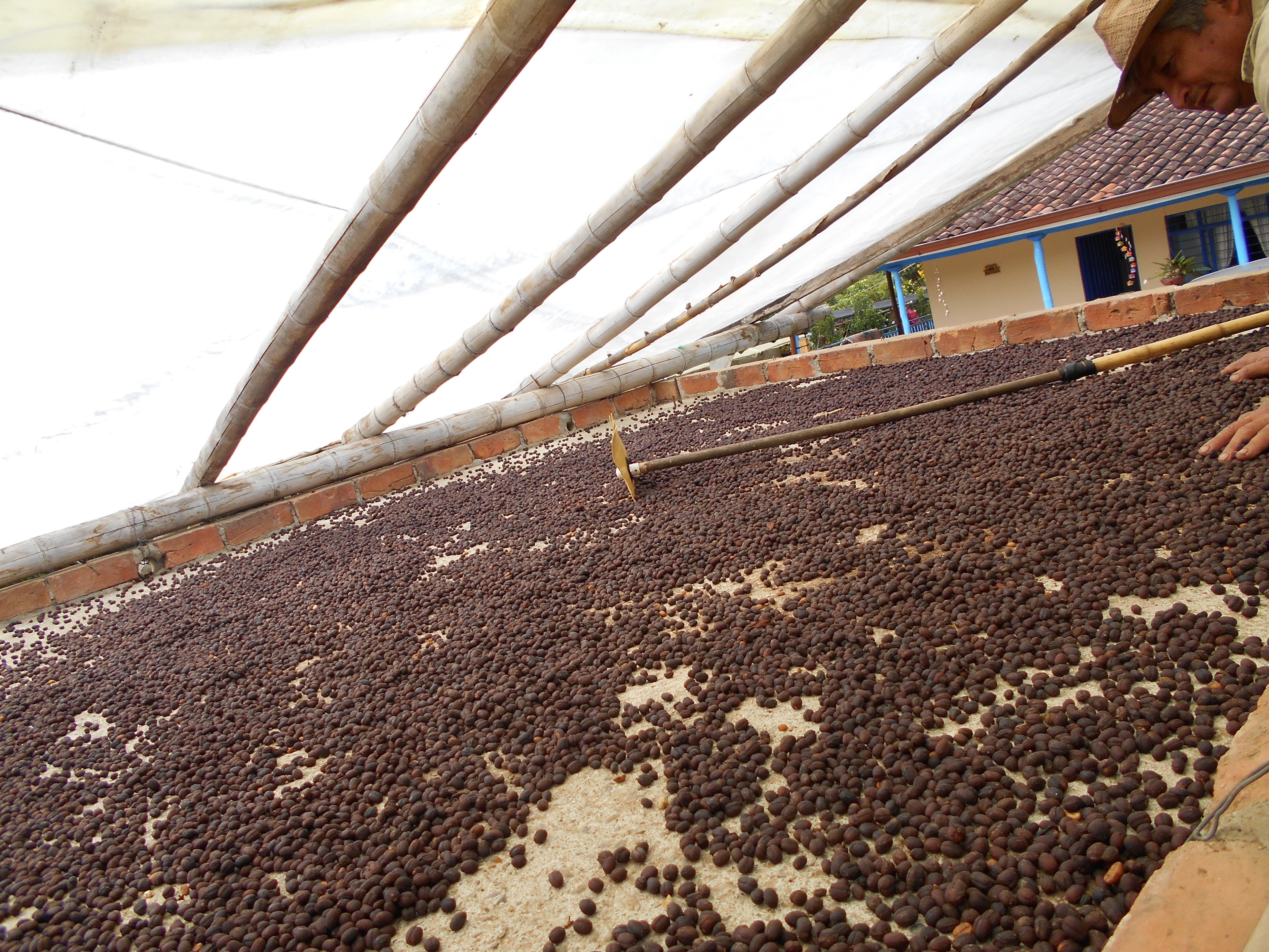 Finca Patio Bonito