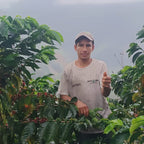Man standing among coffee trees with a mountainous background