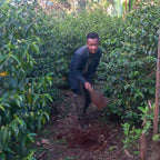 Bekele Gemeda