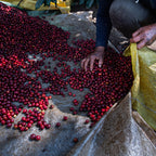 La Soledad
