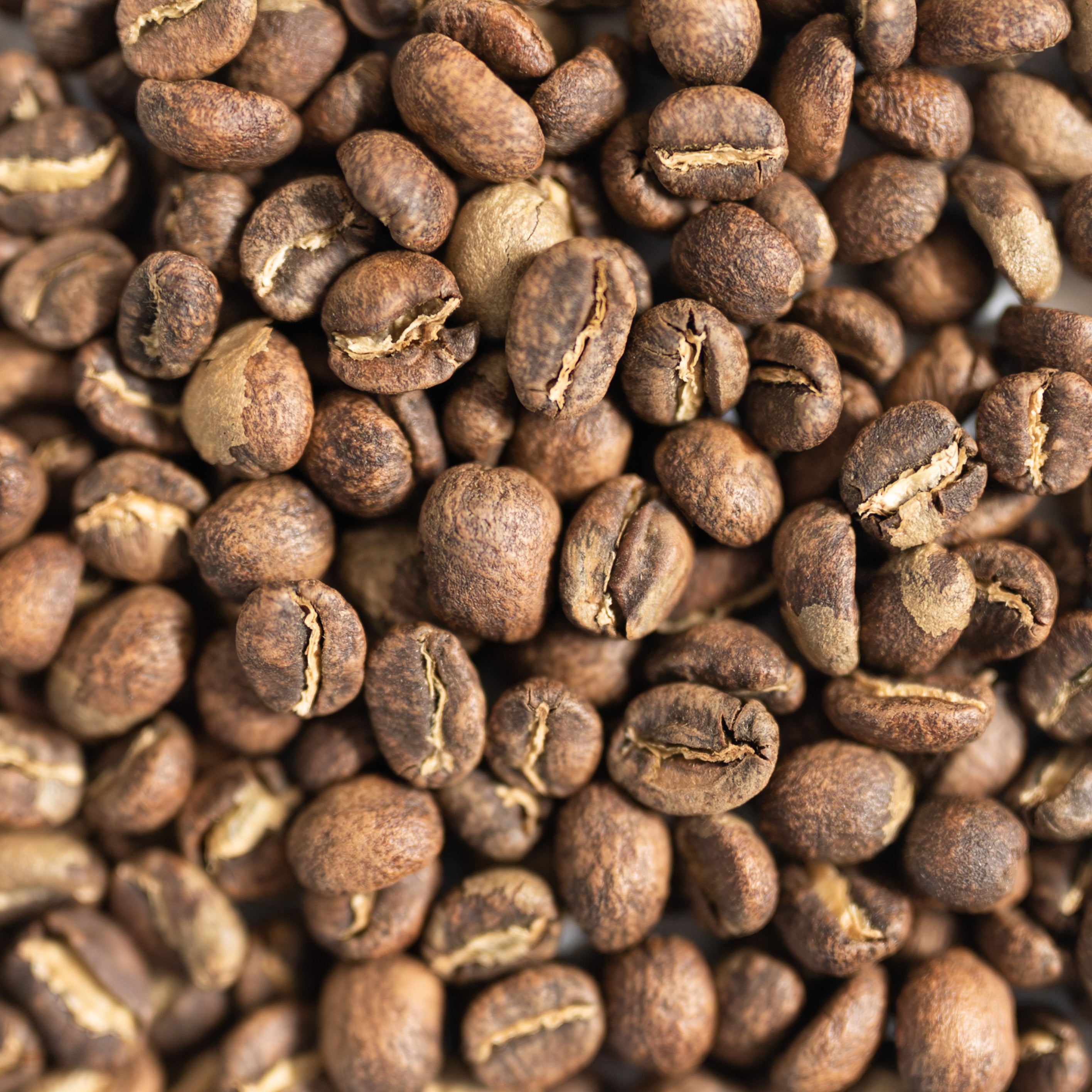 Close-up of roasted coffee beans