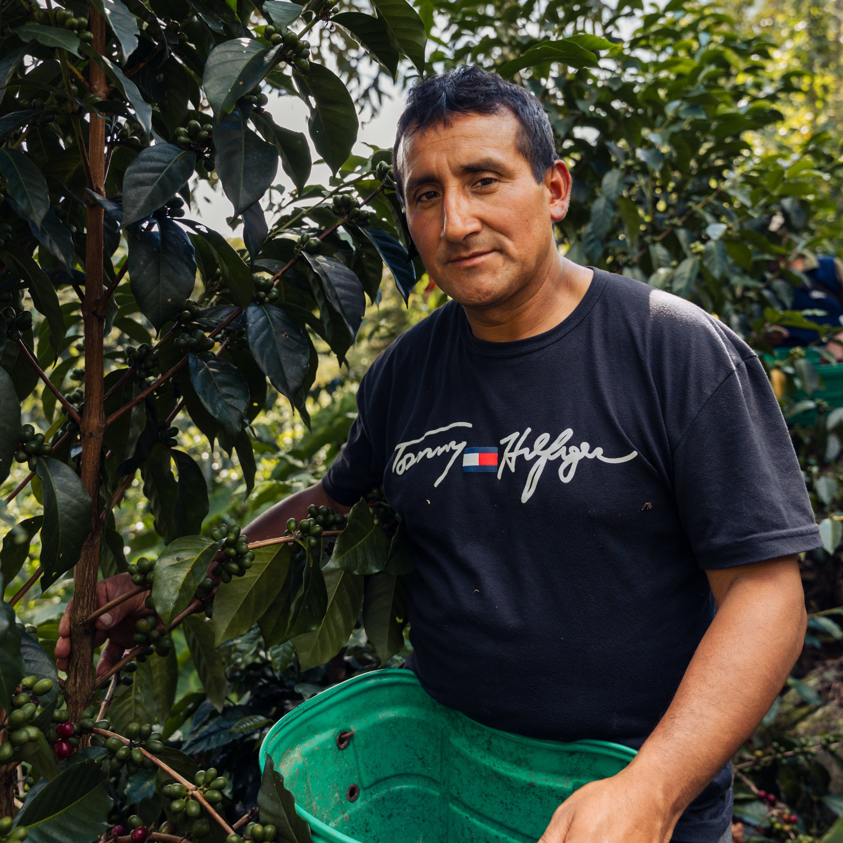 Man holding a green container in a coffee plantation