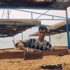 Man sorting coffee beans in a drying shed