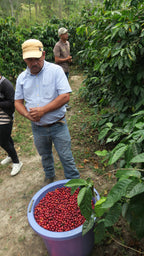 Finca Las Botijas