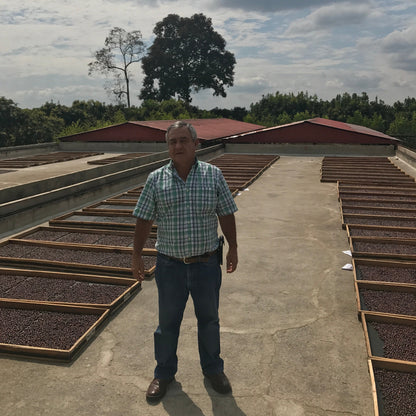 Strudel (Jairo Arcila)