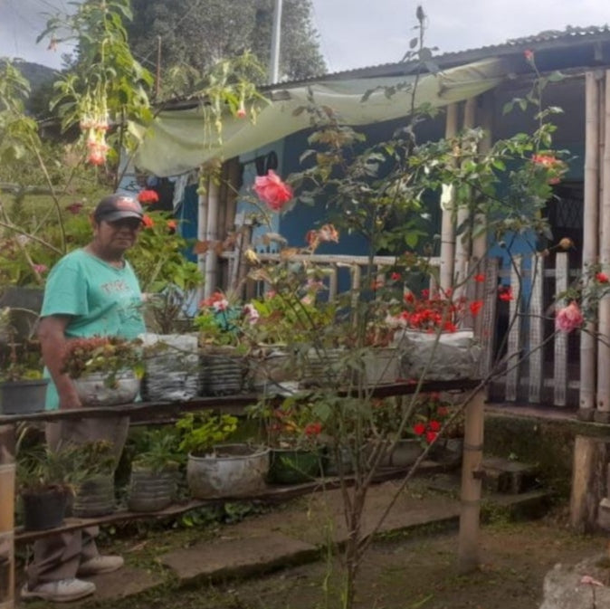 Person standing in a garden with plants and flowers, next to a building.