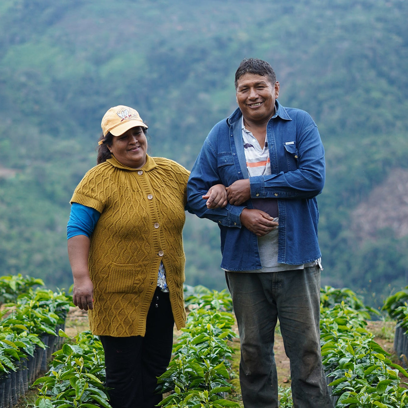 Two people standing in a lush green field with mountains in the background