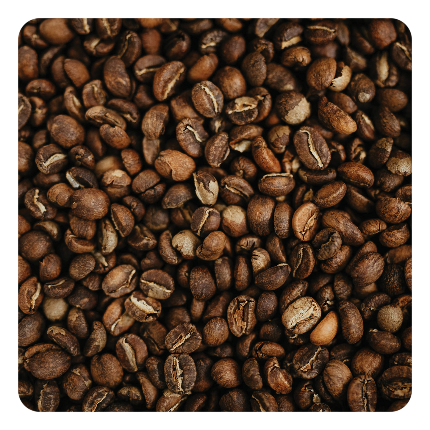Close-up of roasted coffee beans