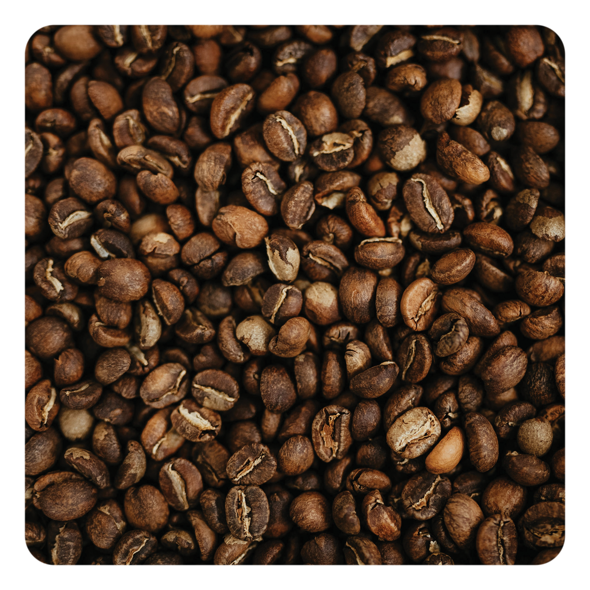 Close-up of roasted coffee beans
