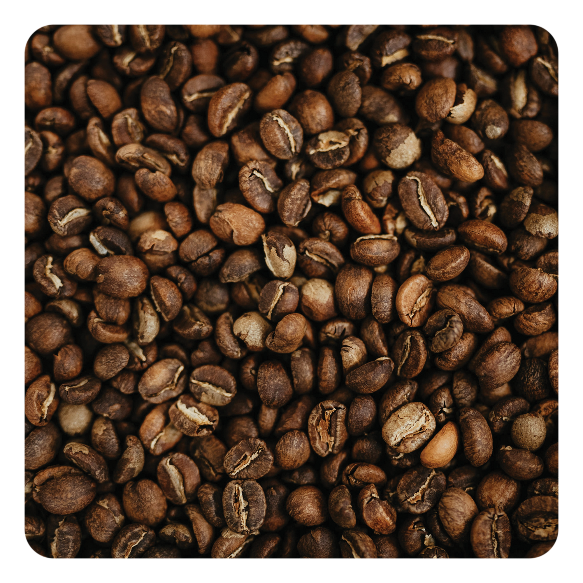 Close-up of roasted coffee beans