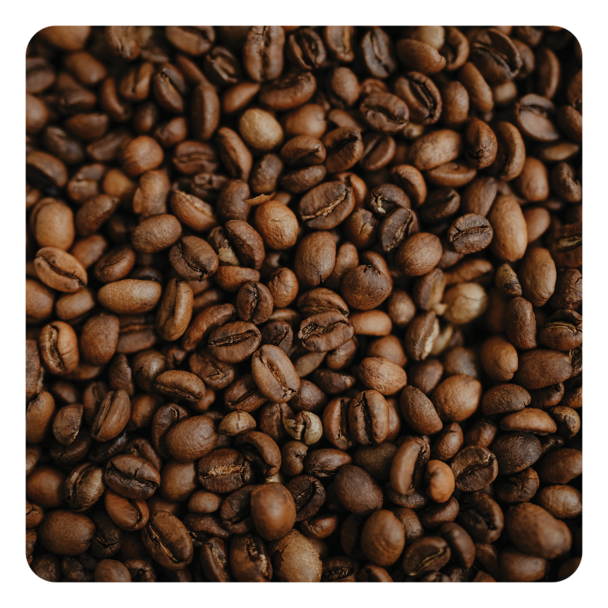 Close-up of roasted coffee beans