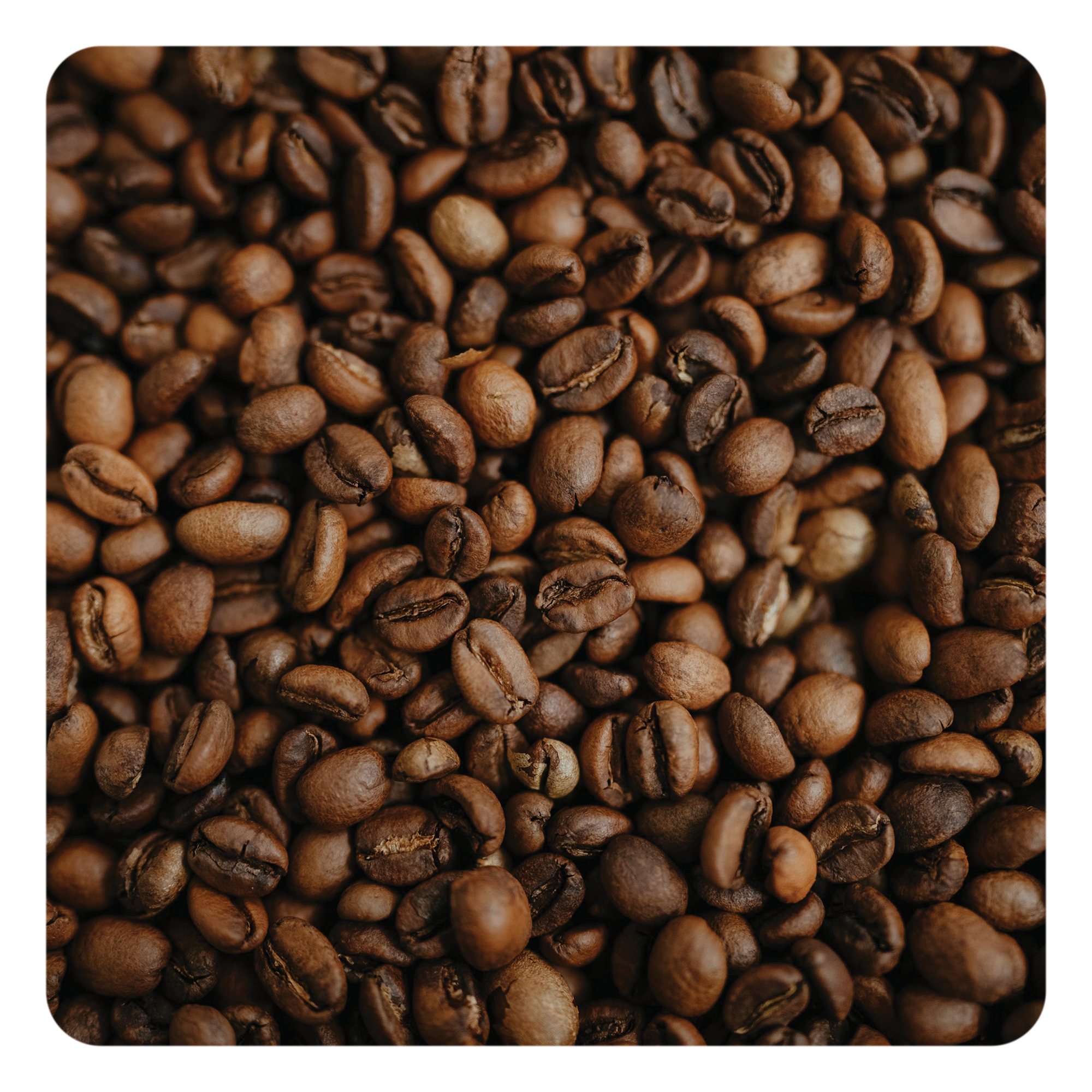 Close-up of roasted coffee beans