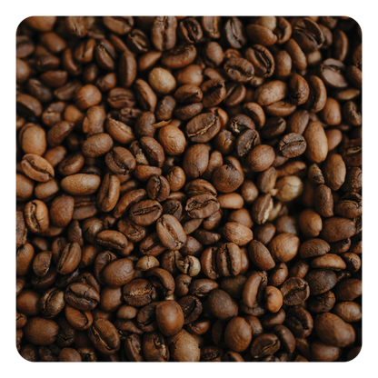 Close-up of roasted coffee beans