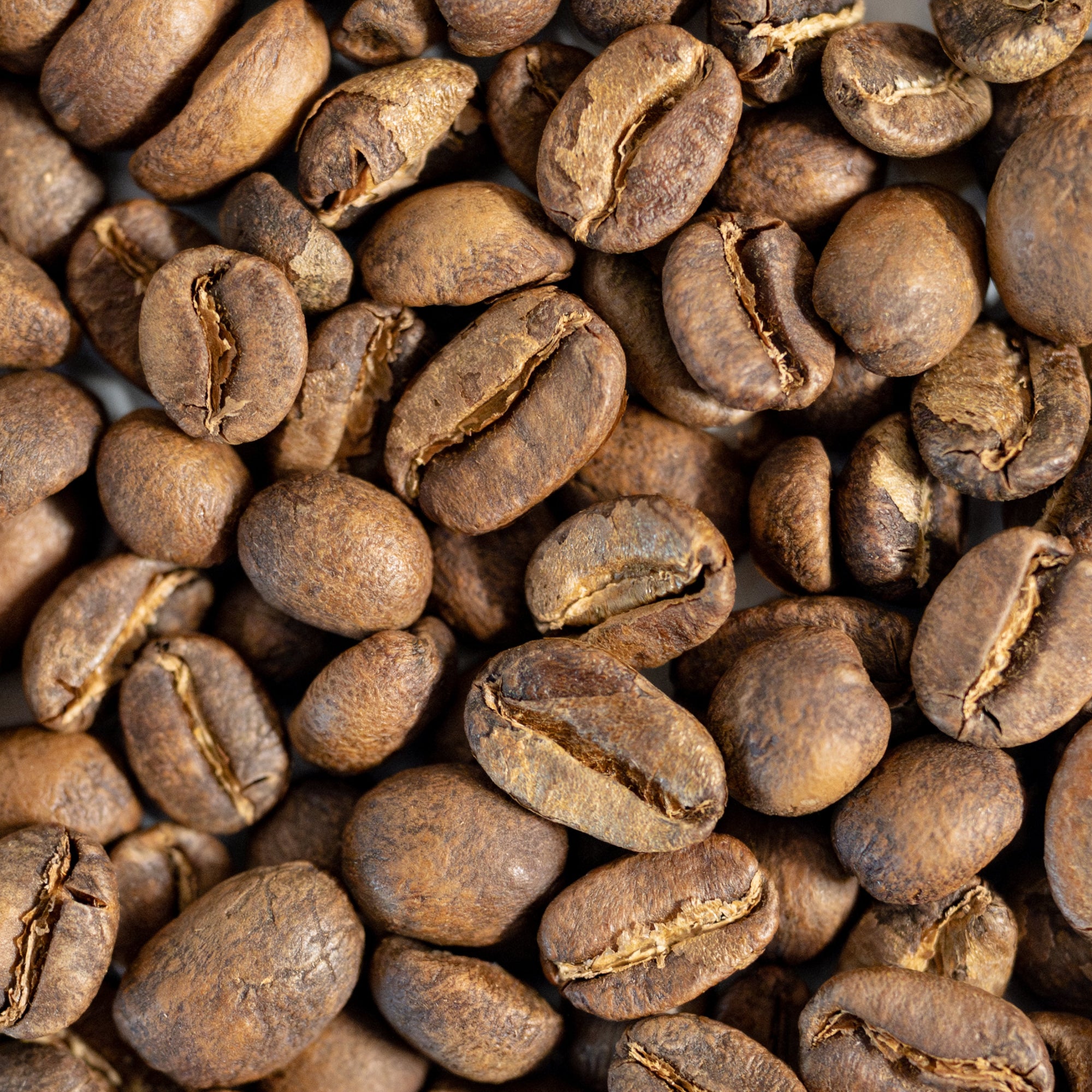 Close-up of roasted coffee beans
