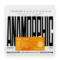 Anamorphic coffee packaging with black text and an orange label on a white background