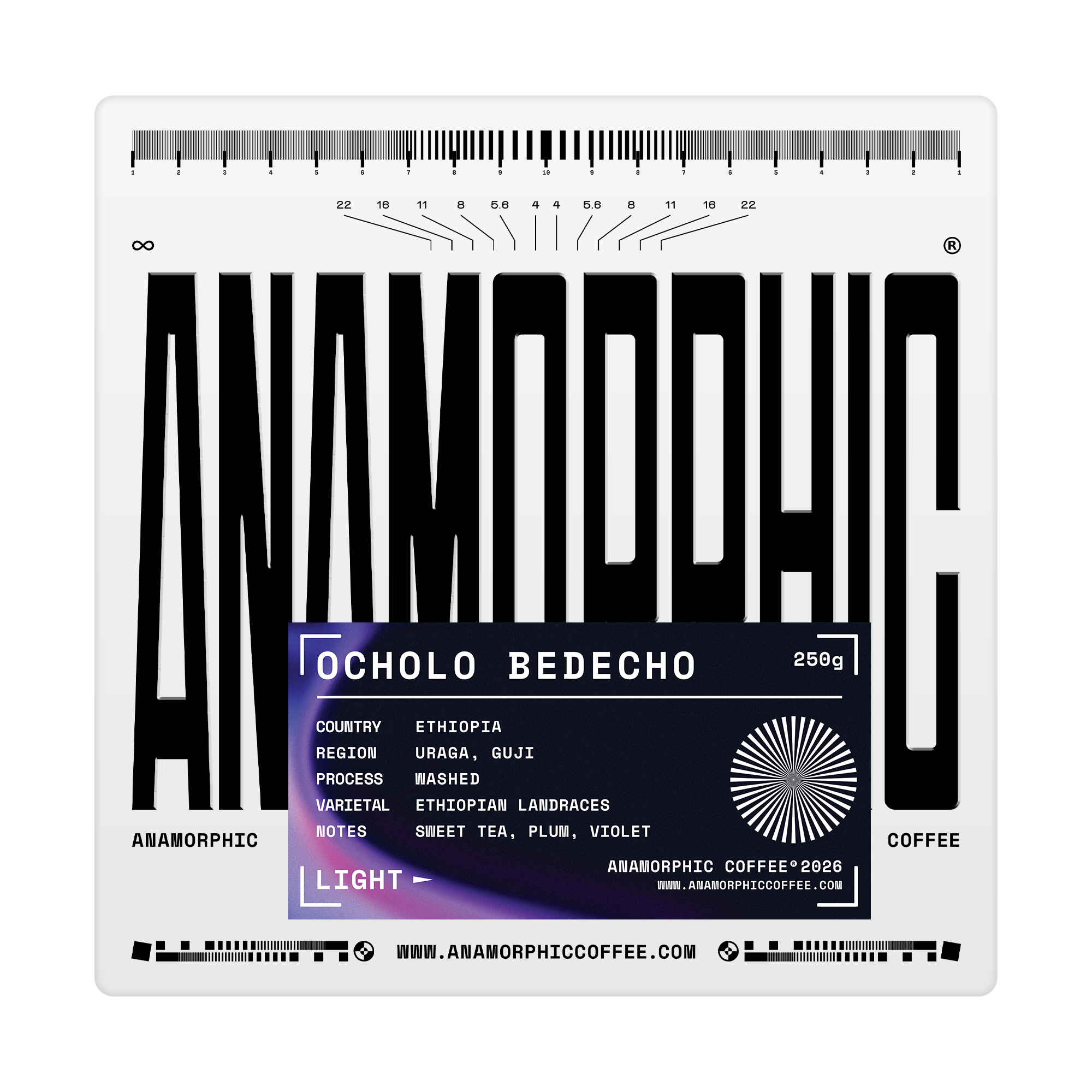 Ocholo Bedecho