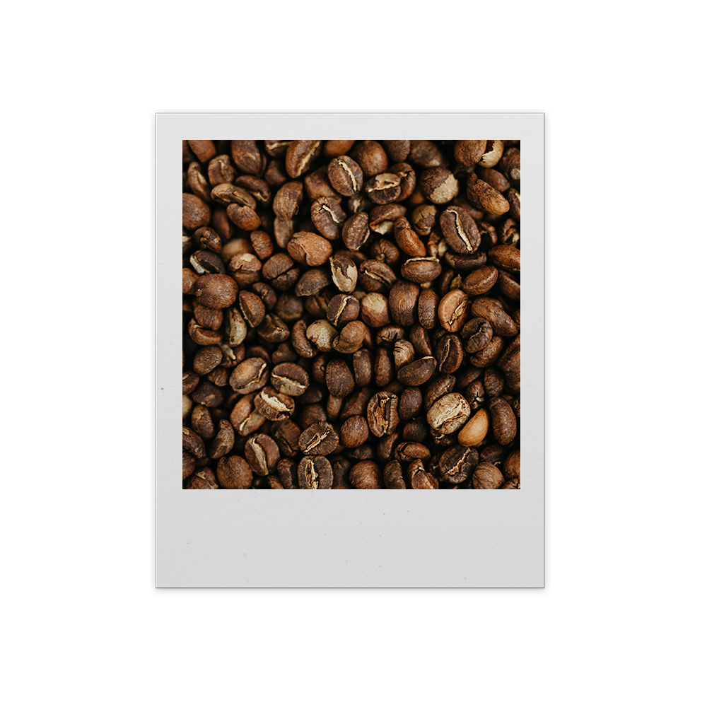 Close-up of roasted coffee beans in a white frame on a white background